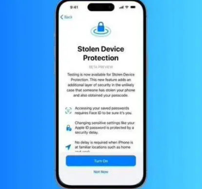 东莞生态园苹果授权维修店分享被盗设备保护功能开启方法 
