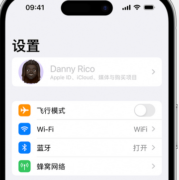 东莞生态园appleID维修服务iPhone设置中Apple ID显示为灰色无法使用