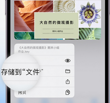 东莞生态园apple维修中心分享iPhone文件应用中存储和找到下载文件