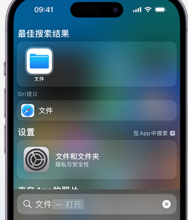 东莞生态园apple维修中心分享iPhone文件应用中存储和找到下载文件 