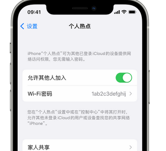 东莞生态园apple服务站点分享iPhone上个人热点丢失了怎么办 