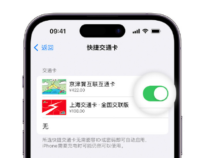 东莞生态园apple维修点分享iPhone上更换Apple Pay快捷交通卡手绘卡面 