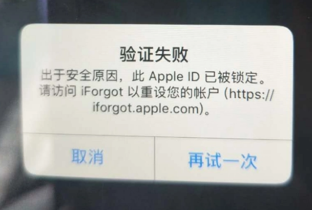 东莞生态园iPhone维修分享iPhone上正常登录或使用AppleID怎么办 