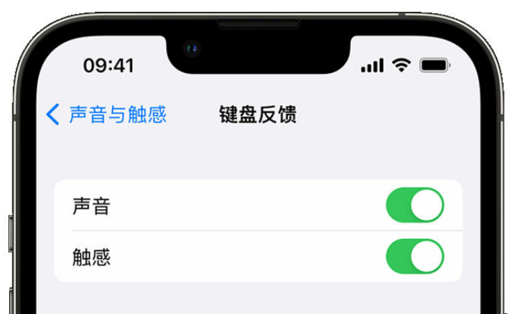 东莞生态园苹果手机维修分享iPhone 14触感键盘使用方法 