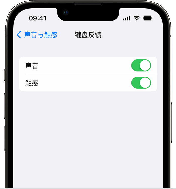 东莞生态园苹果14维修店分享如何在 iPhone 14 机型中使用触感键盘 