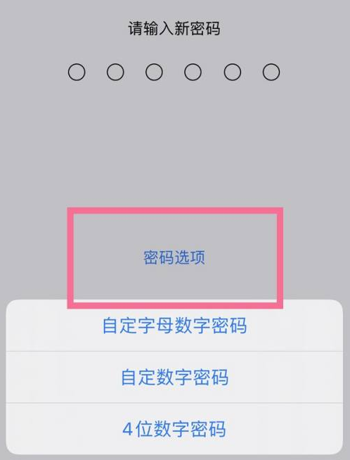 东莞生态园苹果14维修分享iPhone 14plus设置密码的方法 