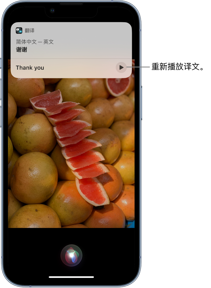 东莞生态园苹果14维修分享 iPhone 14 机型中使用 Siri：了解 Siri 能帮你做什么 