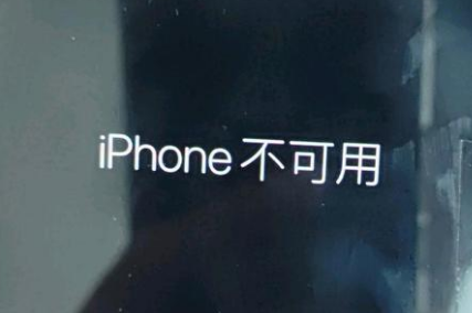 东莞生态园苹果服务网点分享锁屏界面显示“iPhone 不可用”如何解决 