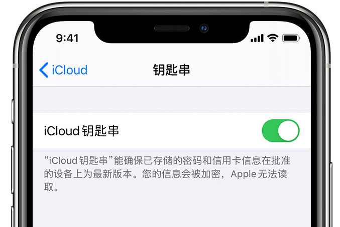 东莞生态园苹果手机维修分享在 iPhone 上开启 iCloud 钥匙串之后会储存哪些信息 