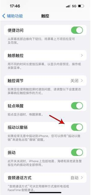 东莞生态园苹果手机维修分享iPhone手机如何设置摇一摇删除文字 